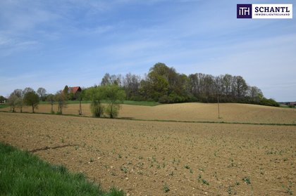 Grundstücke in 8521 Wettmannstätten
