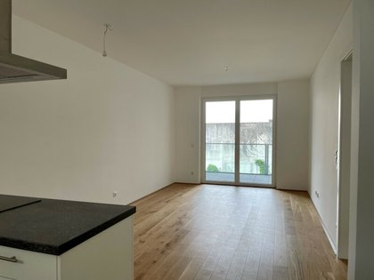 Wohnungen in 4600 Wels