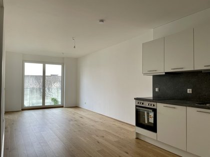 Wohnungen in 4600 Wels