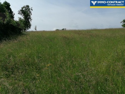 Land- / Forstwirtschaft in 4770 Andorf