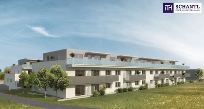 Wohnungen in 8160 Weiz