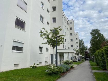 Wohnungen in 4020 Zaubertal