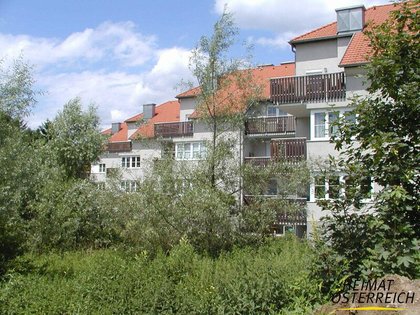 Wohnungen in 3380 Pöchlarn