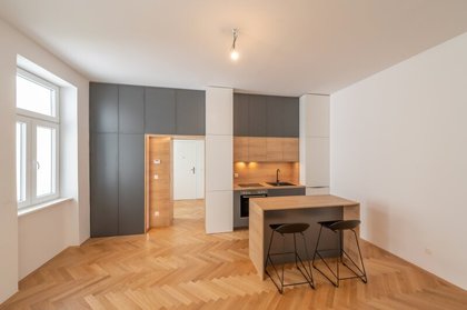 Wohnungen in 1060 Wien