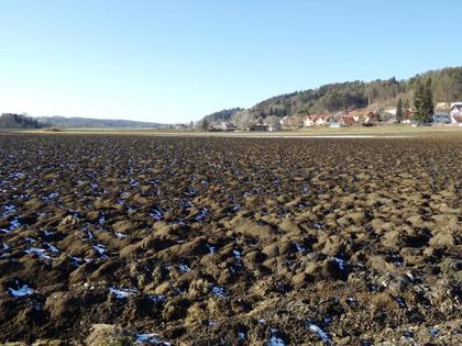 Grundstücke in 8200 Gleisdorf