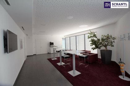 Büros /Praxen in 8700 Leoben