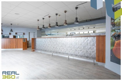 Büros /Praxen in 4030 Linz