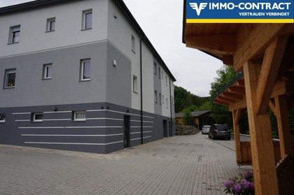 Büros /Praxen in 3382 Groß-Schollach