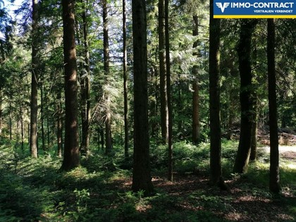 Land- / Forstwirtschaft in 4761 Enzenkirchen