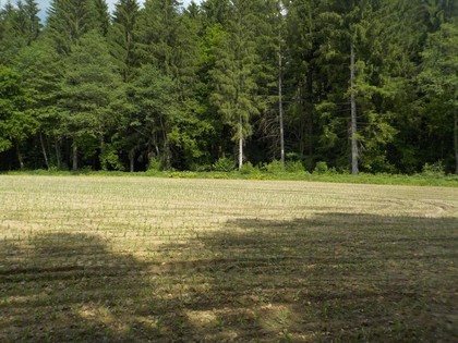 Grundstücke in 9423 Sankt Georgen im Lavanttal