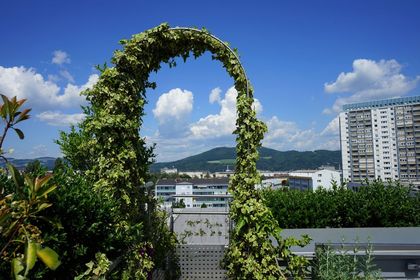 Wohnungen in 4020 Linz