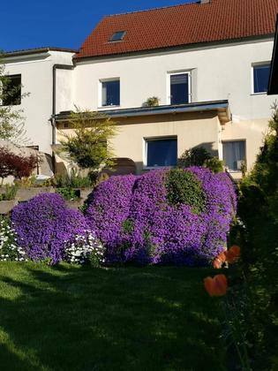 Häuser in 4600 Thalheim bei Wels