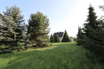 Grundstücke in 8101 Gratkorn