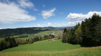 Grundstücke in 6861 Alberschwende