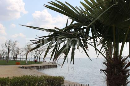 Wohnungen in 7100 Neusiedl am See