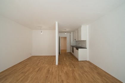 Wohnungen in 1090 Wien