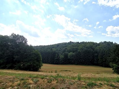 Wohnungen in 8302 Nestelbach bei Graz