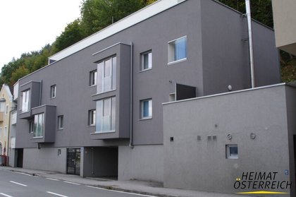 Wohnungen in 5400 Hallein