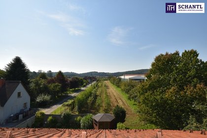 Anlageobjekte in 8523 Frauental an der Laßnitz