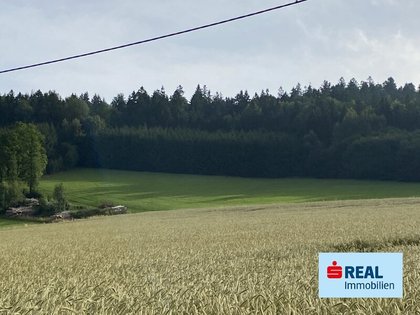 Grundstücke in 4170 Sankt Oswald bei Haslach