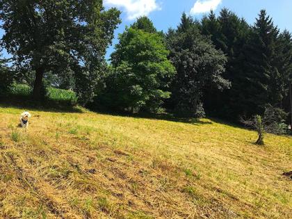 Grundstücke in 8072 Fernitz