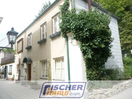 Entzückendes Einfamilienhaus aus der Jahrhundertwende mit 50m² großer Dachterrasse im Zentrum/46 Entzückendes Einfamilienhaus aus der Jahrhundertwende mit 50m² großer Dachterrasse im Zentrum/46
