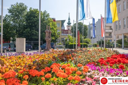 Einzelhandel / Geschäfte in 2320 Schwechat