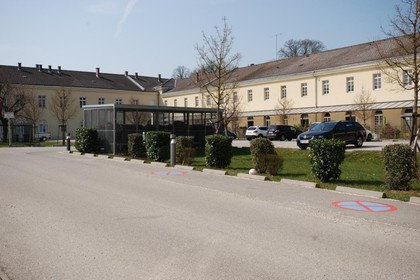 Wohnungen in 4600 Unterschauersberg