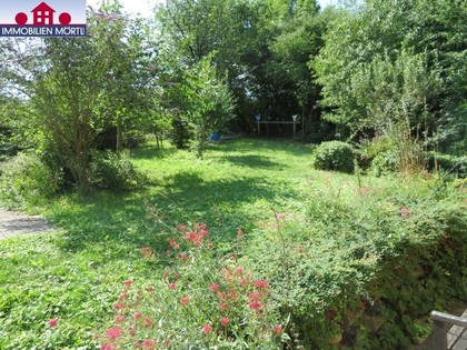 Land- / Forstwirtschaft in 3434 Katzelsdorf