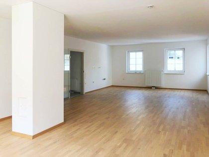 Wohnungen in 2340 Mödling