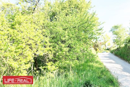 Grundstücke in 4073 Wilhering