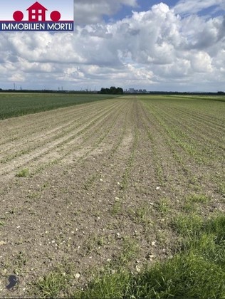 Land- / Forstwirtschaft in 3430 Tulln an der Donau
