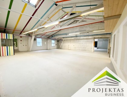 Hallen / Lager / Produktion in 4020 Zaubertal