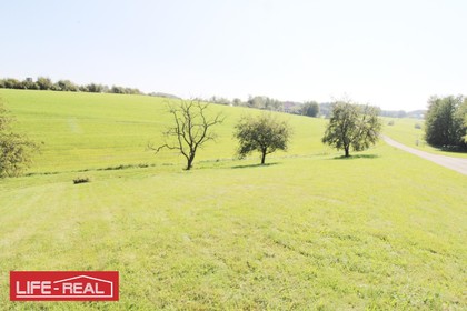 Grundstücke in 4085 Waldkirchen am Wesen