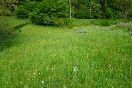 Grundstücke in 4452 Ternberg