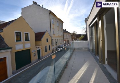 Wohnungen in 2340 Mödling