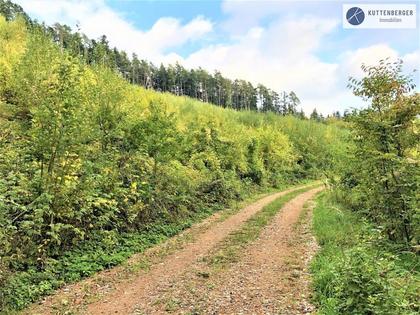Land- / Forstwirtschaft in 3643 Maria Laach am Jauerling