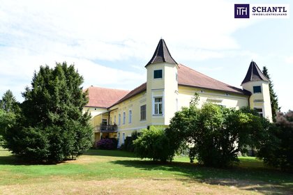 Ein Märchenschloss komplett saniert mit prachtvoller Parkanlage - Biomasseheizung! Ein Märchenschloss komplett saniert mit prachtvoller Parkanlage - Biomasseheizung!