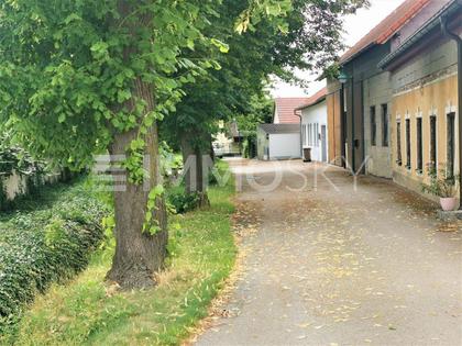 Häuser in 3580 Horn