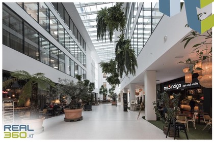 Büros /Praxen in 4020 Linz