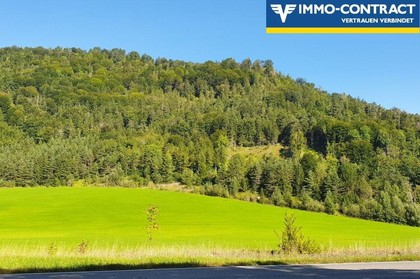 Land- / Forstwirtschaft in 3283 Sankt Anton an der Jeßnitz