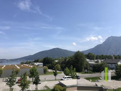 Wohnungen in 4813 Altmünster