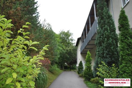 Wohnungen in 2632 Wimpassing im Schwarzatale