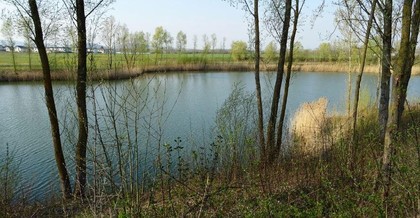 Grundstücke in 4481 Asten