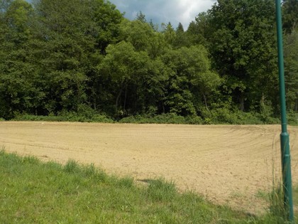 Land- / Forstwirtschaft in 9423 Sankt Georgen im Lavanttal