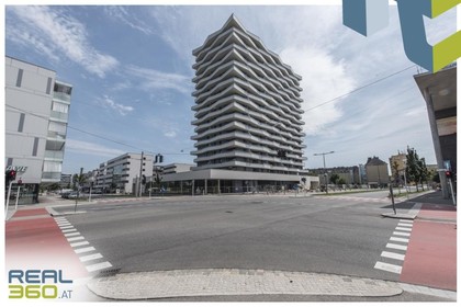 Wohnungen in 4020 Friesenegg