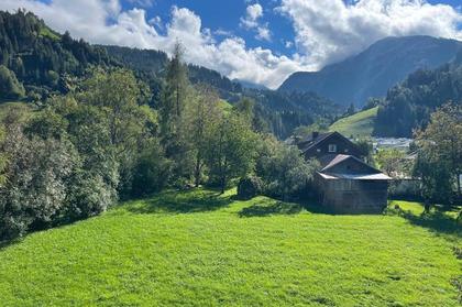 Wohnungen in 5731 Hollersbach im Pinzgau