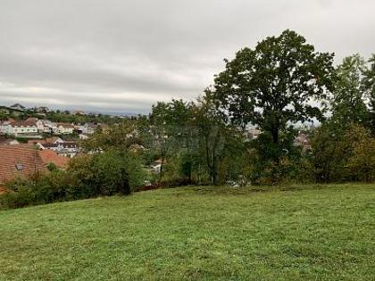 Grundstücke in 7222 Rohrbach bei Mattersburg