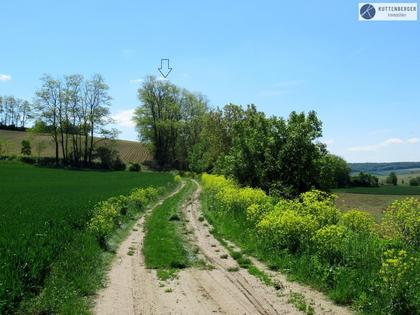 Land- / Forstwirtschaft in 2020 Hollabrunn