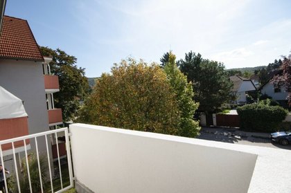 Wohnungen in 2531 Gaaden